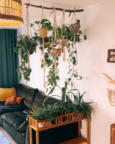 plantes à suspendre - décoration bohème